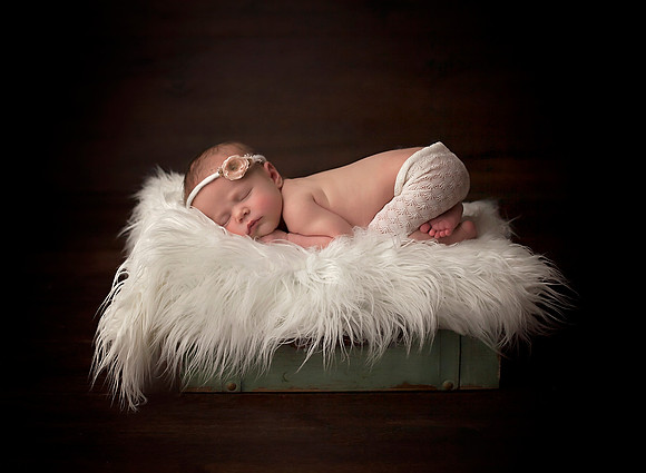 Newborn Photos
