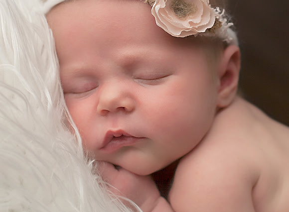 Newborn Photos